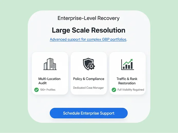 Enterprise-level Google Business Profile suspension recovery service for multi-location businesses